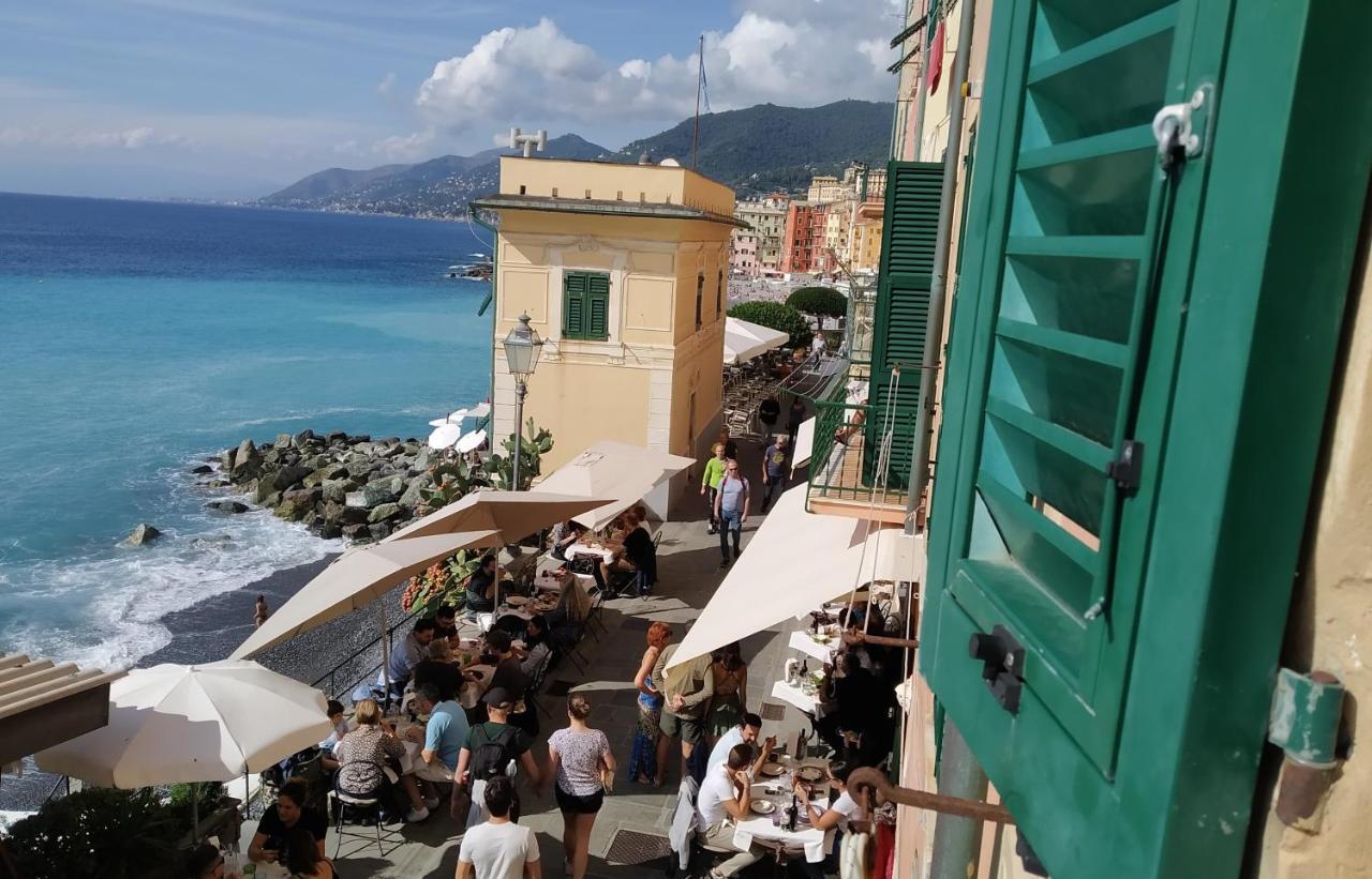 Le Finestre Sul Mare Διαμέρισμα Camogli Εξωτερικό φωτογραφία